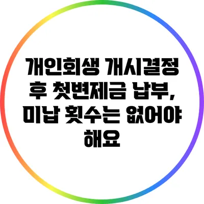 개인회생 개시결정 후 첫변제금 납부, 미납 횟수는 없어야 해요