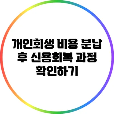 개인회생 비용 분납 후 신용회복 과정 확인하기