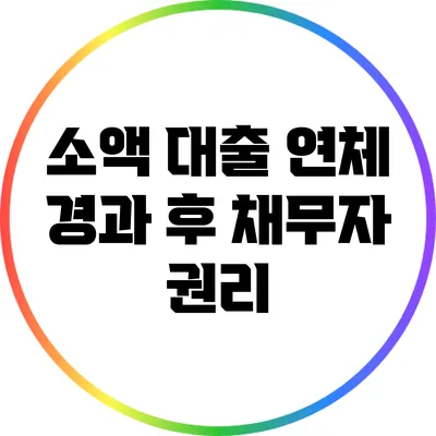 소액 대출 연체 경과 후 채무자 권리