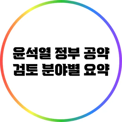 윤석열 정부 공약 검토: 분야별 요약