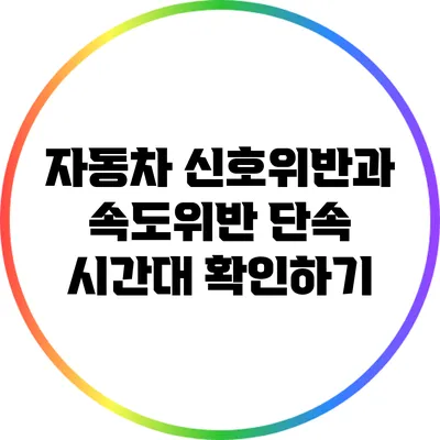 자동차 신호위반과 속도위반 단속 시간대 확인하기