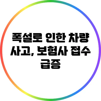 폭설로 인한 차량 사고, 보험사 접수 급증