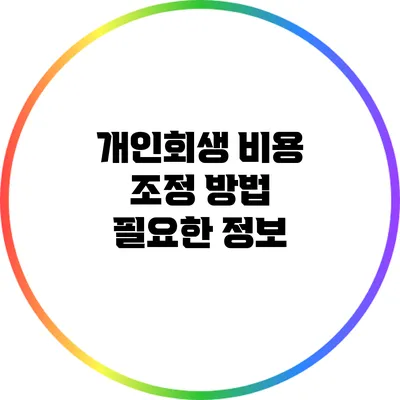 개인회생 비용 조정 방법: 필요한 정보