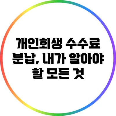 개인회생 수수료 분납, 내가 알아야 할 모든 것