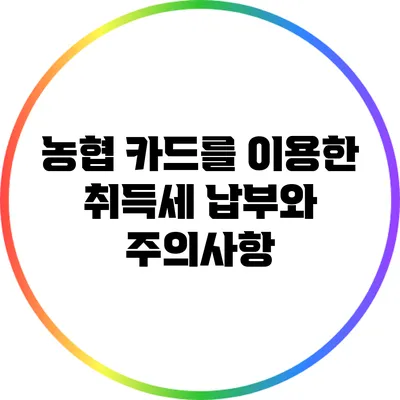 농협 카드를 이용한 취득세 납부와 주의사항