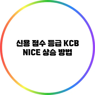 신용 점수 등급 KCB NICE 상승 방법