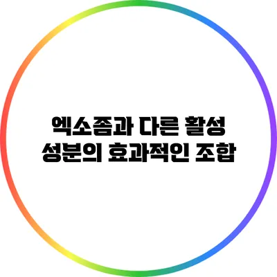 엑소좀과 다른 활성 성분의 효과적인 조합