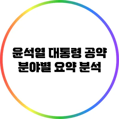 윤석열 대통령 공약: 분야별 요약 분석