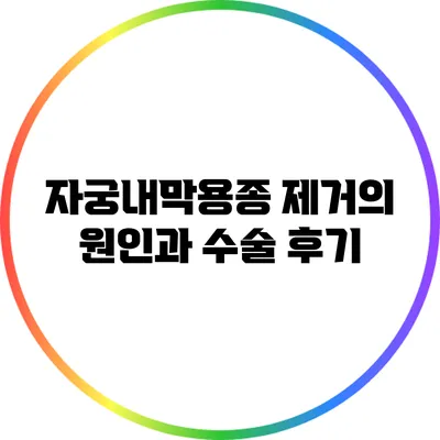 자궁내막용종 제거의 원인과 수술 후기