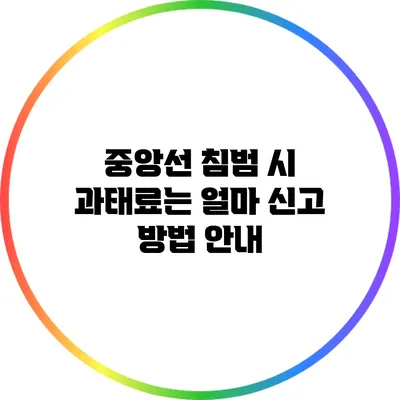 중앙선 침범 시 과태료는 얼마? 신고 방법 안내