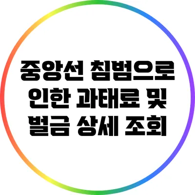 중앙선 침범으로 인한 과태료 및 벌금 상세 조회