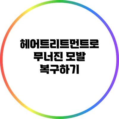 헤어트리트먼트로 무너진 모발 복구하기