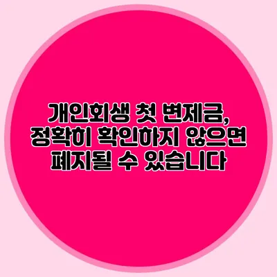 개인회생 첫 변제금, 정확히 확인하지 않으면 폐지될 수 있습니다