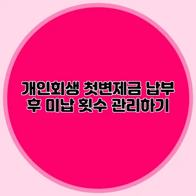 개인회생 첫변제금 납부 후 미납 횟수 관리하기