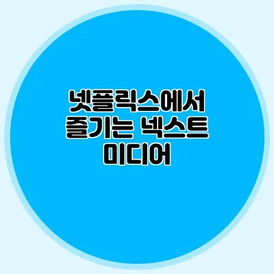 넷플릭스에서 즐기는 넥스트 미디어