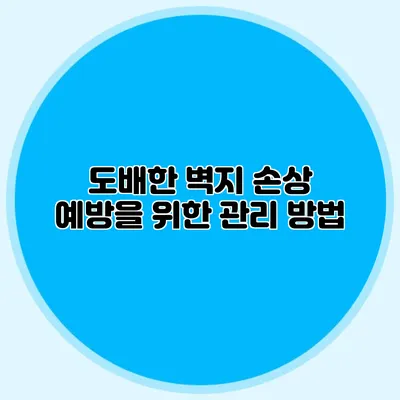 도배한 벽지 손상 예방을 위한 관리 방법