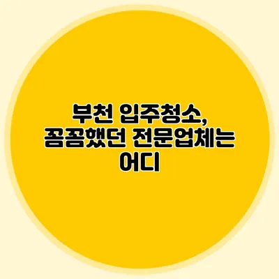 부천 입주청소, 꼼꼼했던 전문업체는 어디?