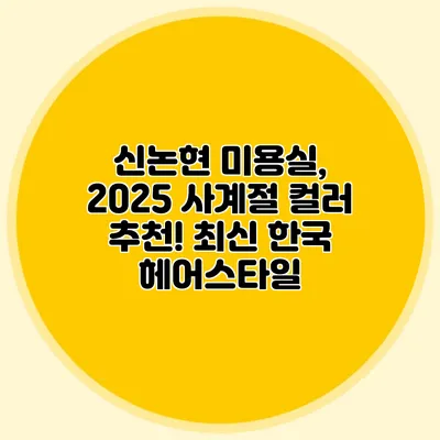 신논현 미용실, 2025 사계절 컬러 추천! 최신 한국 헤어스타일