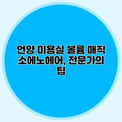 언양 미용실 볼륨 매직 소에노헤어, 전문가의 팁