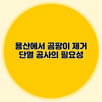 용산에서 곰팡이 제거: 단열 공사의 필요성