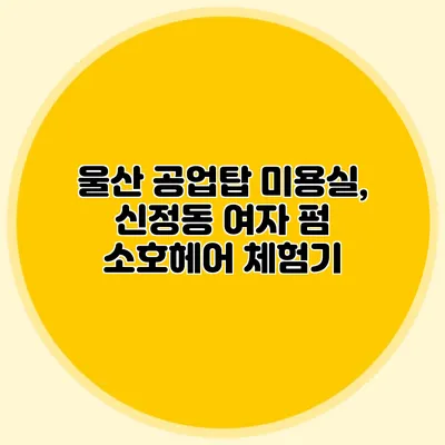 울산 공업탑 미용실, 신정동 여자 펌 소호헤어 체험기