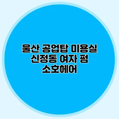 울산 공업탑 미용실: 신정동 여자 펌 소호헤어