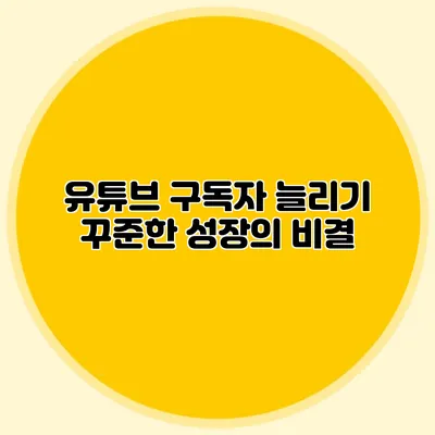 유튜브 구독자 늘리기: 꾸준한 성장의 비결