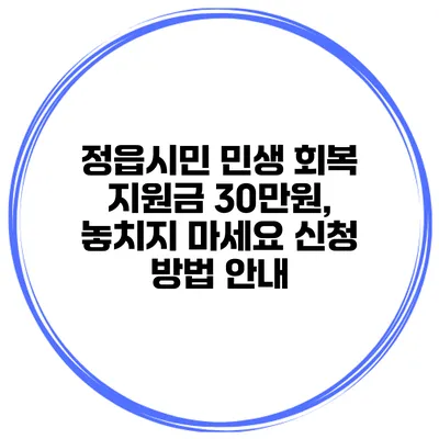 정읍시민 민생 회복 지원금 30만원, 놓치지 마세요 신청 방법 안내