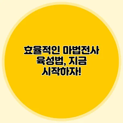효율적인 마법전사 육성법, 지금 시작하자!