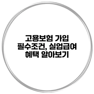 고용보험 가입 필수조건, 실업급여 혜택 알아보기
