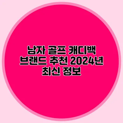 남자 골프 캐디백 브랜드 추천 2024년 최신 정보