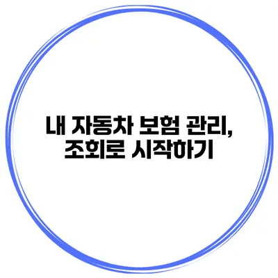 내 자동차 보험 관리, 조회로 시작하기