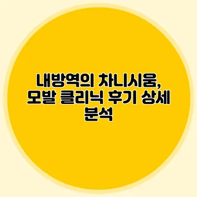 내방역의 차니시움, 모발 클리닉 후기 상세 분석