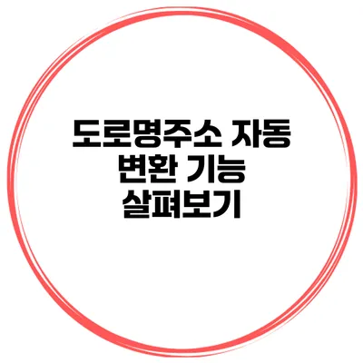 도로명주소 자동 변환 기능 살펴보기