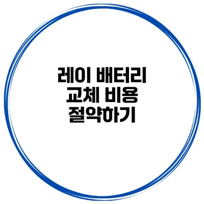 레이 배터리 교체 비용 절약하기