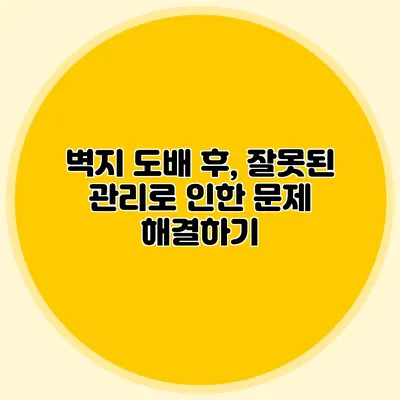 벽지 도배 후, 잘못된 관리로 인한 문제 해결하기