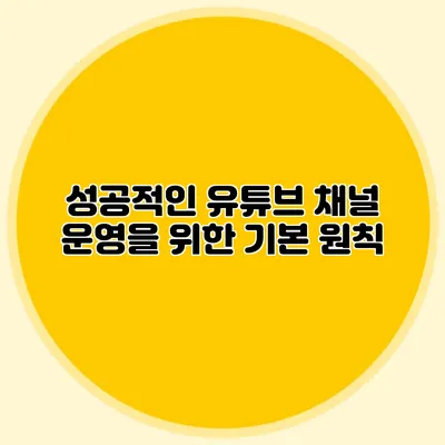 성공적인 유튜브 채널 운영을 위한 기본 원칙