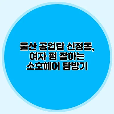 울산 공업탑 신정동, 여자 펌 잘하는 소호헤어 탐방기