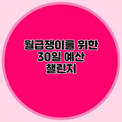 월급쟁이를 위한 30일 예산 챌린지