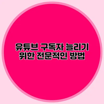 유튜브 구독자 늘리기 위한 전문적인 방법