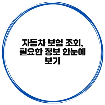 자동차 보험 조회, 필요한 정보 한눈에 보기