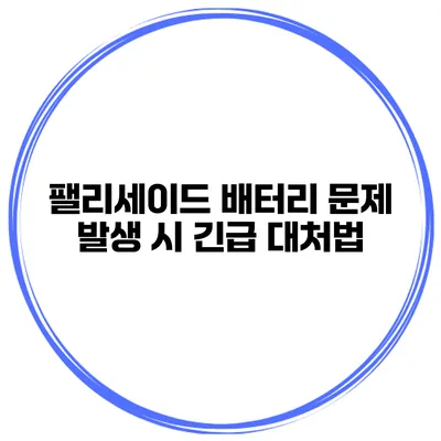 팰리세이드 배터리 문제 발생 시 긴급 대처법