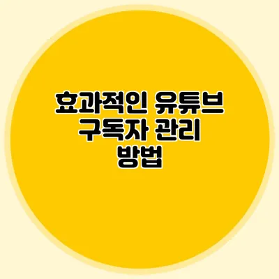 효과적인 유튜브 구독자 관리 방법